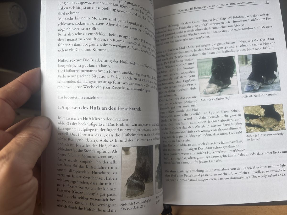 Libri: Esel- und Mulihufe – Nuovo (secondo la descrizione) da Schaffhausen venduto da Reporter 2