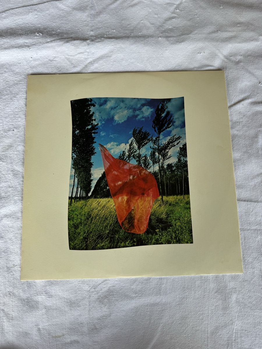 Dischi in vinile: Pink Floyd Vinyle 33 – Usato da GRAND - LANCY venduto da petitpain67 2
