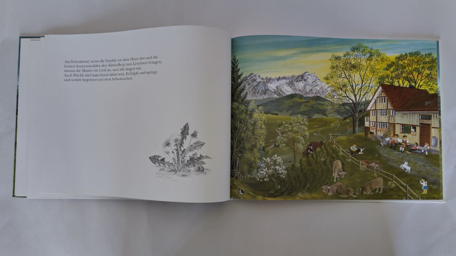 Libri: Flöckli, das Geisslein-Lilly Langenegger / Bilderbuch – Usato da Bellach venduto da JingleJerry 6