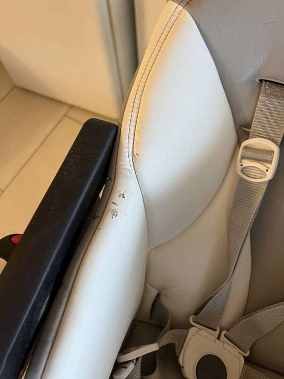 Peg Perego Hochstühle: Chaise haute Peg perego modèle siesta – Gebraucht aus Vicques von PAMB3D 2