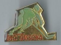 EHC Grischa PIN