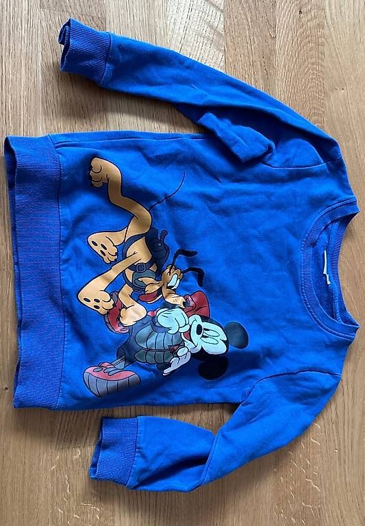 Name It Maglioni & Felpe: Pullover Name It 110 – Usato da Bern venduto da Salamander86