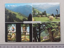 Niederrickenbach, Brisen, Haldigrat, 1989