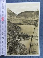 GERSAU 1936 VOGELSICHT LU AK
