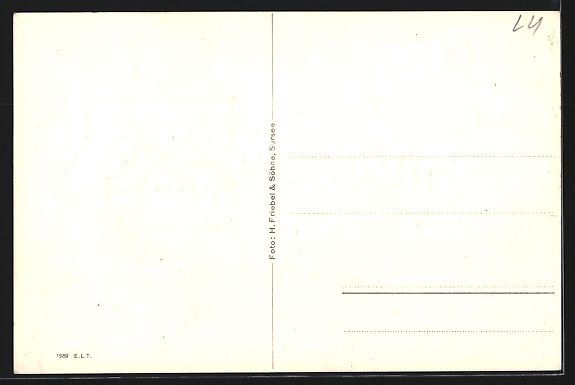 Cartes postales: AK Dagmersellen, Totalansicht – D'occasion à Berlin par bartko-reher 1