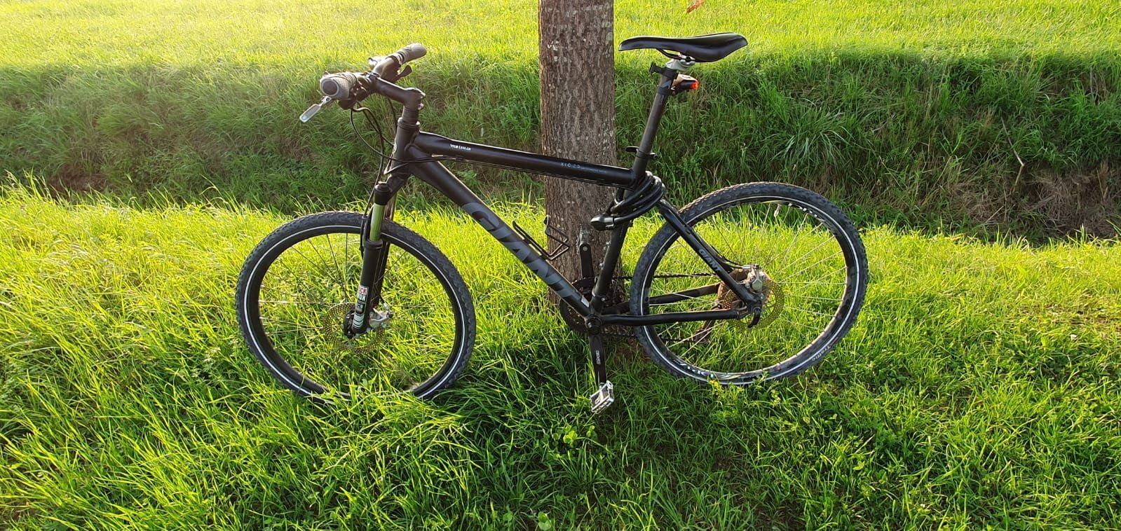 Giant Biciclette: Giant XTC 2.0 anthrazit 19'' Mountainbike – Usato da Märstetten venduto da activemember