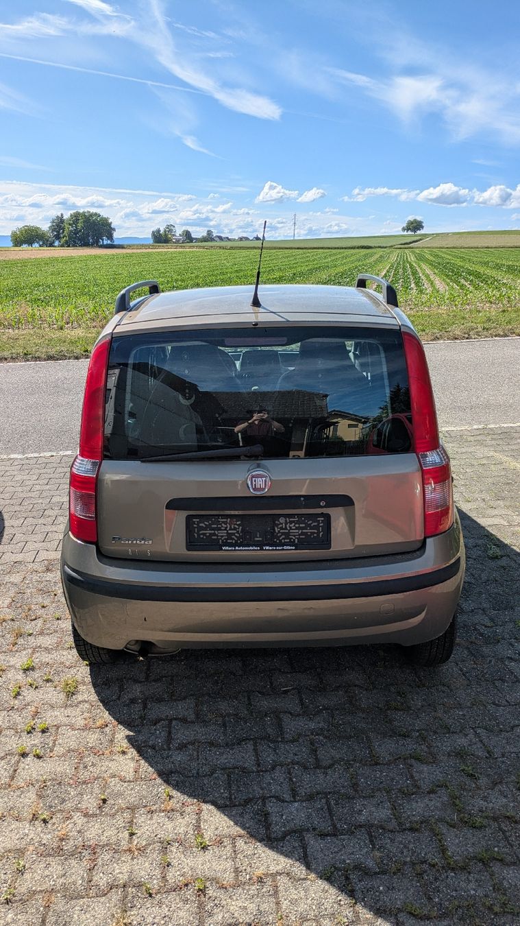 Fiat Automobili: Fiat Panda 1.2 - not 4x4 - – Usato da Düdingen venduto da daniel.gumy 5