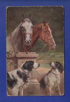 CHIEN et CHEVAL / HUND und PFERD
