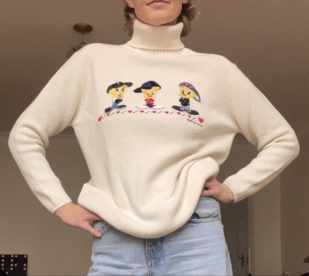 Pulls & Sweat-shirts: Rollkragenpullover Emmanuelschvili Tweety – D'occasion à Fribourg par Mymikrakra01