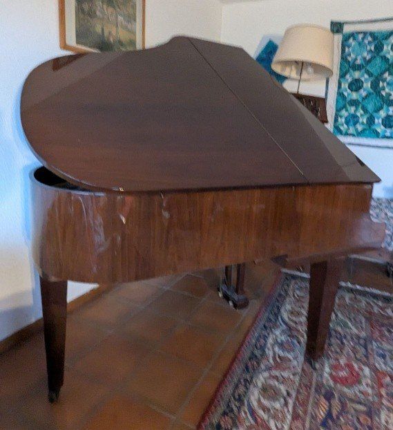 Strumenti musicali: Piano à queue – Usato da TANNAY venduto da Berkoricar 3