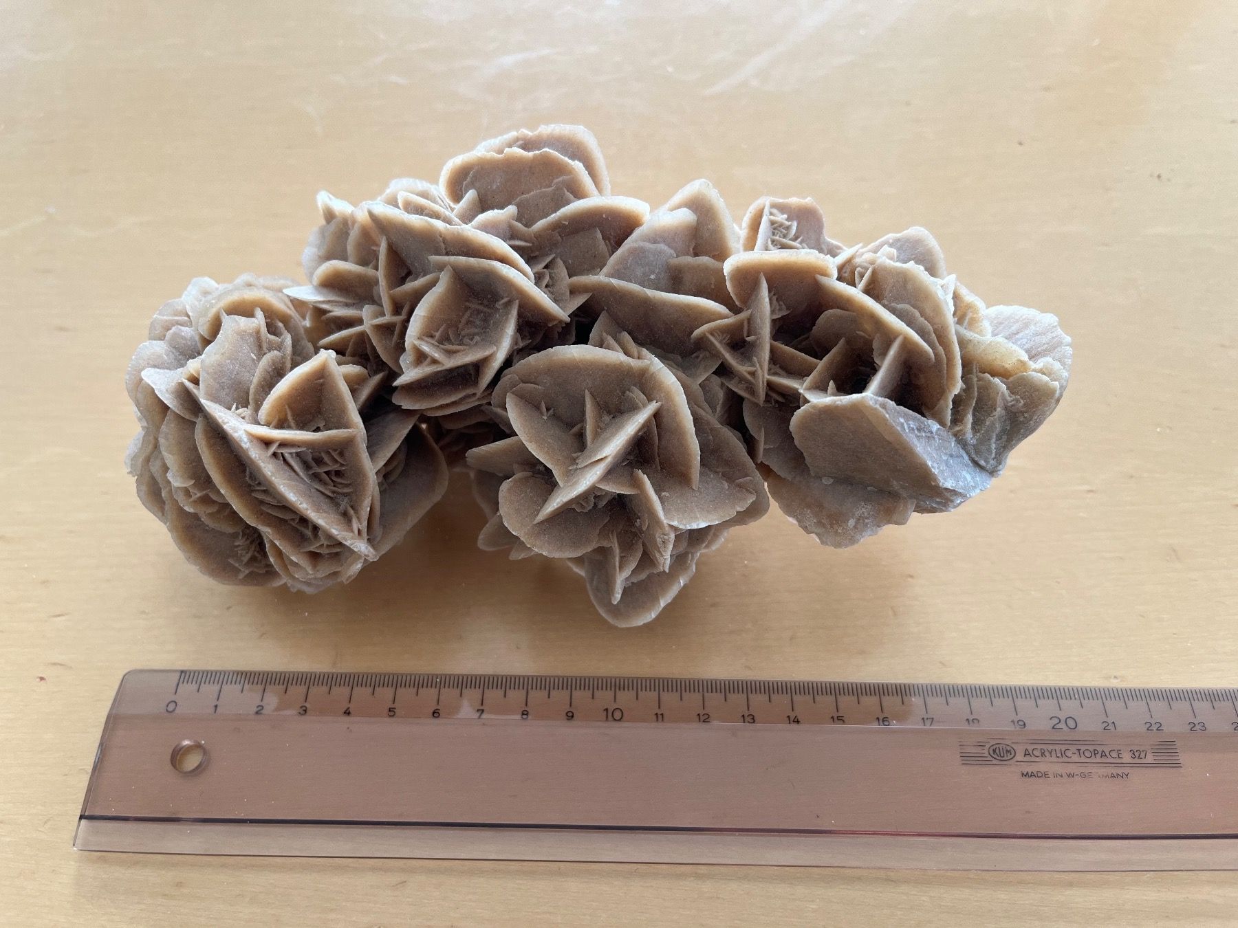 Minerali & Pietre curative: Wunderschöne Sandrose – Usato da Liestal venduto da Socrate 4
