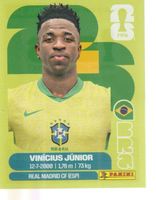 FIFA WORLD CUP 2026 Panini Sticker BRA 14 VINICIUS JUNIOR