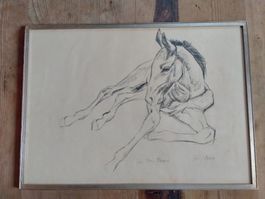 Fritz Hug Füllen (Fohlen Pferd) Bleistift  handsig. Litho