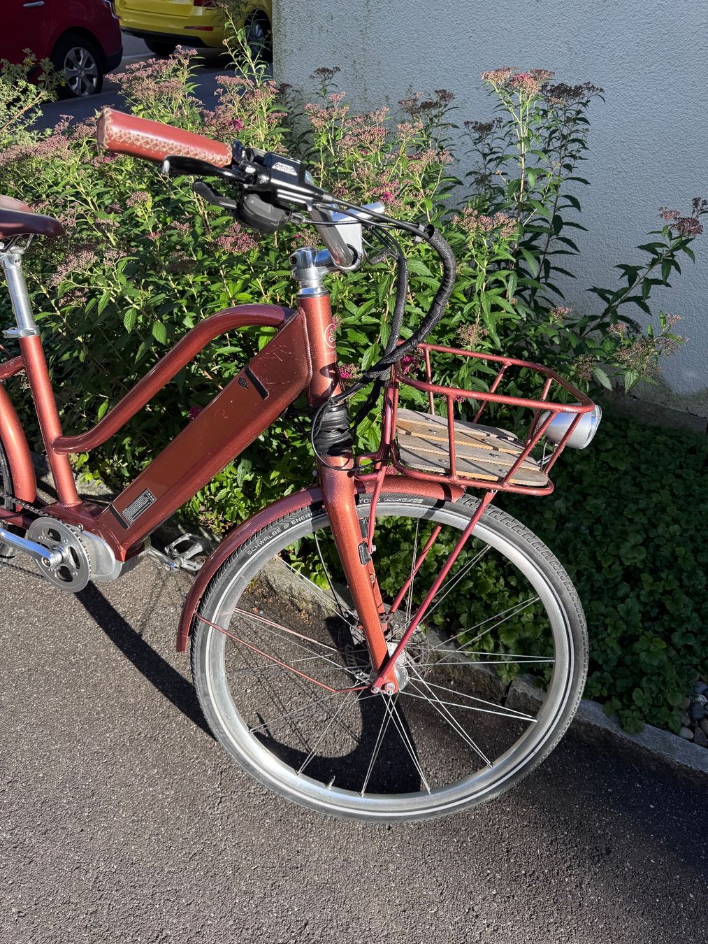 Ego Movement Velos: E-Bike Egomovement Cleopatra – Gebraucht aus Zürich von starsz 3