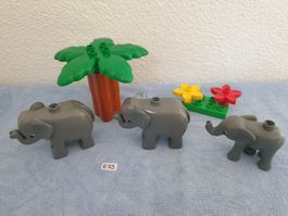 E09: Lego Duplo Elefantenfamilie m.Palme