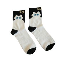 Socken Katzen / Cats