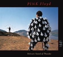 PINK Floyd - Delicate Sound Of Thunder - Live, 2 CD