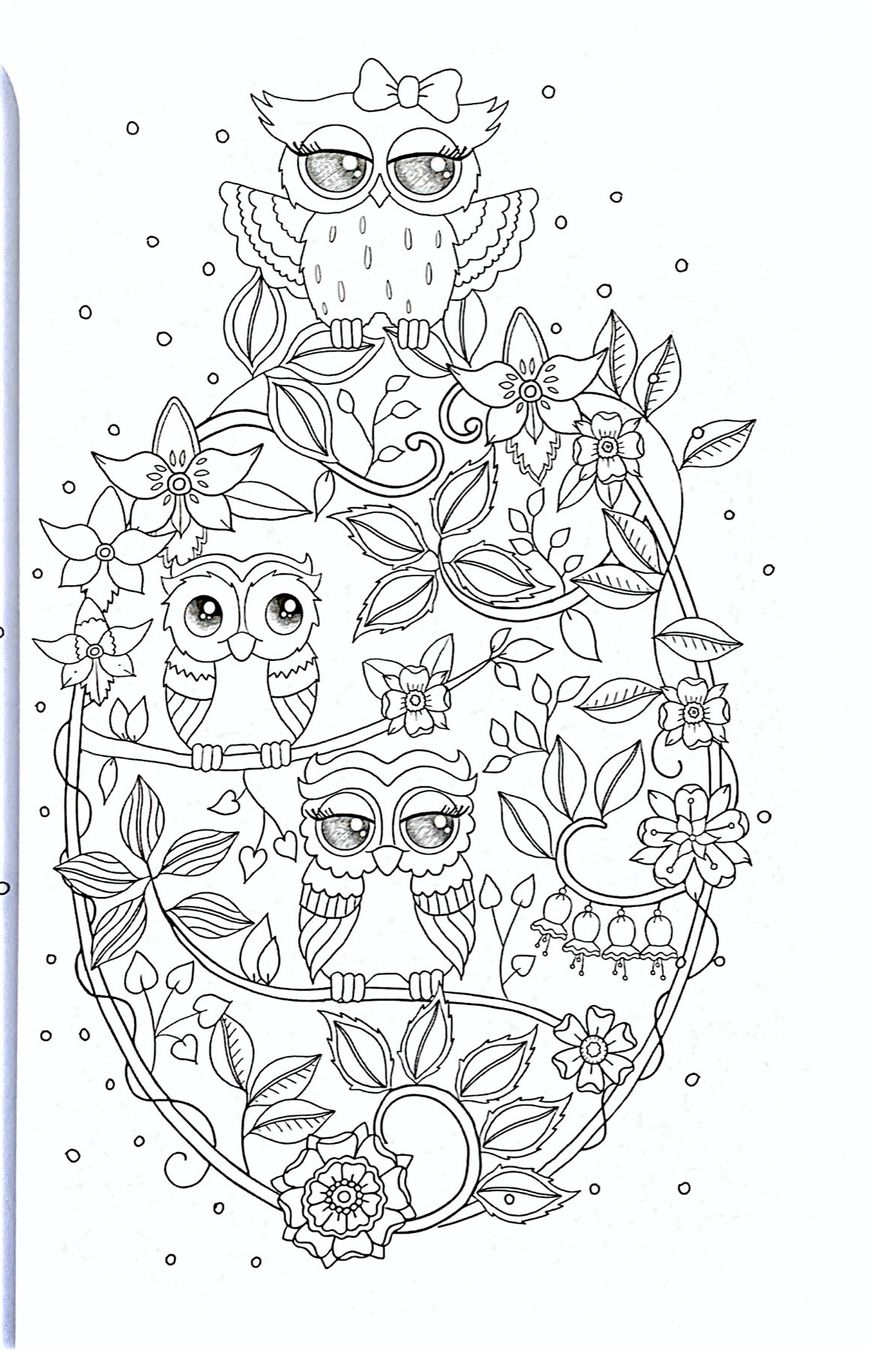 Libri: Ornamental Owls • Eulenbilder zum Ausmalen – Nuovo (secondo la descrizione) da Niederrohrdorf venduto da Robinia 2