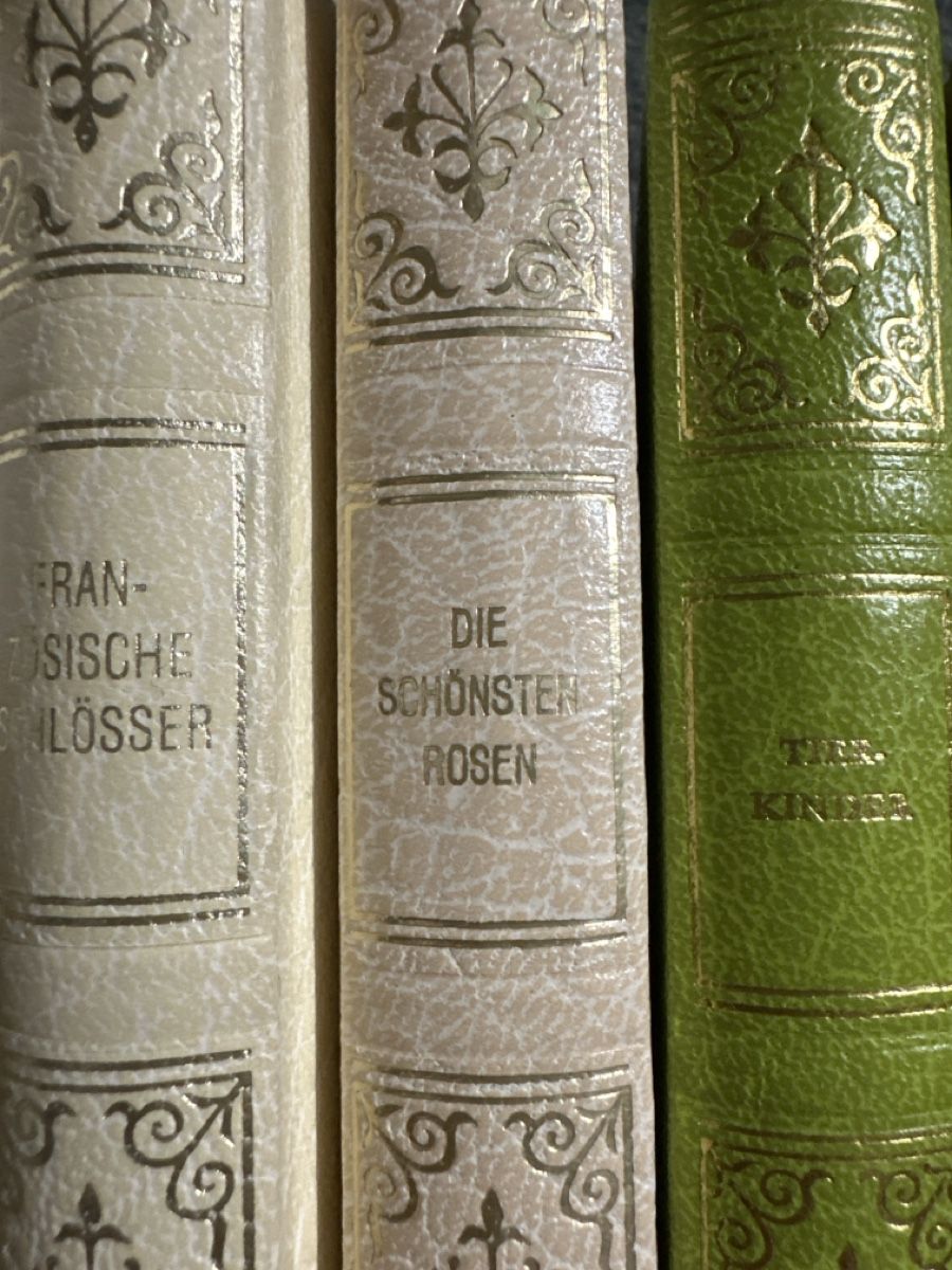 Libri: Avantibücher 10 Stück  – Usato da Baltschieder venduto da YmroBe 2