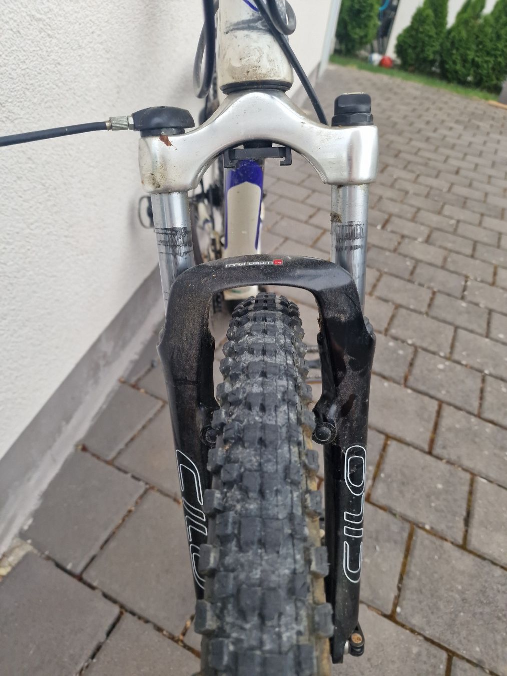 Cilo Biciclette: CILO Mountainbike 26  – Usato da Wäldi venduto da pos_r5ds 8