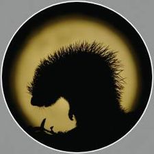 Profile image of Fluros