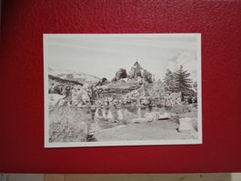 s/w Karte Stiftung Pro Werdenberg Schloss Stadt See 1985