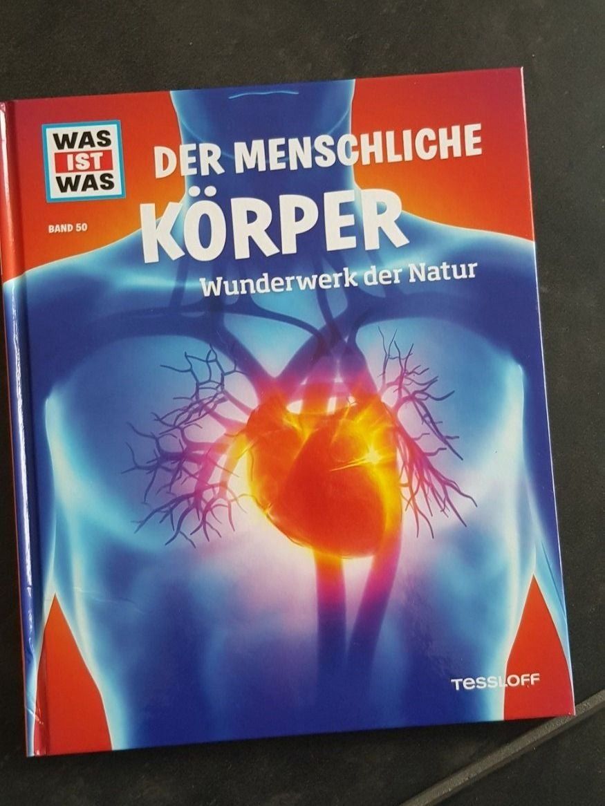 Libri: Was ist was - Der menschliche Körper – Usato da Walterswil SO venduto da Jerry_maus