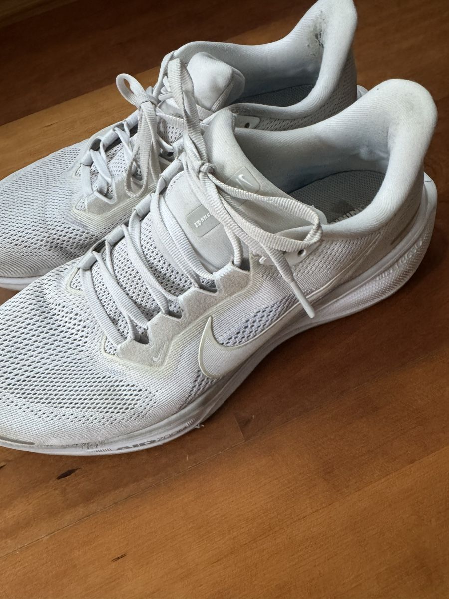 Nike Chaussures hommes: Nike Pegasus Grösse 45 – D'occasion à Wettswil par alstel24 3
