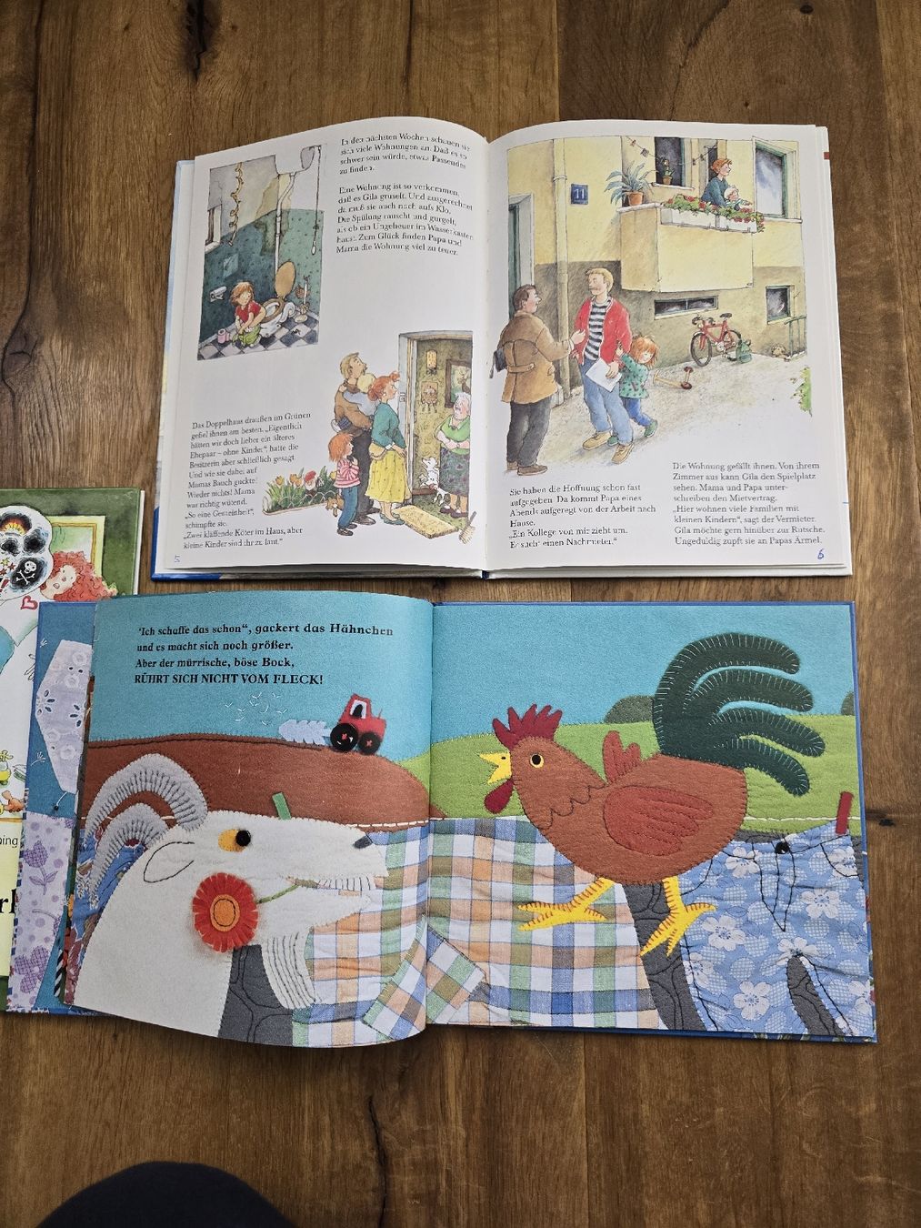 Libri: bücher set – Usato da Wittenbach venduto da Tigerlili 5