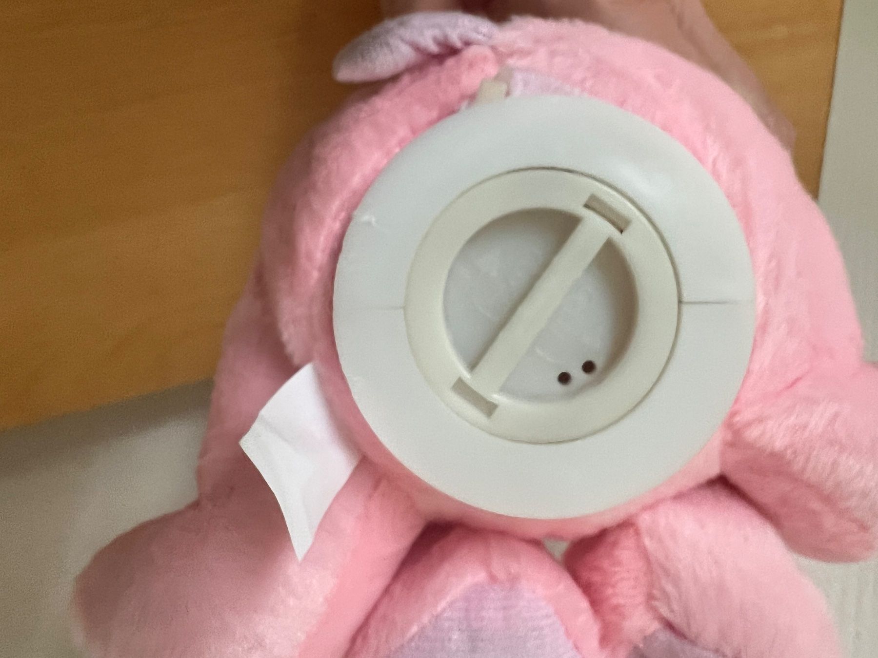 Spardosen: Quiekendes Sparschwein, im Originalkarton! – Neu und originalverpackt aus Arbon von reg_xn7l 3