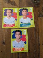 Panini New Zealand