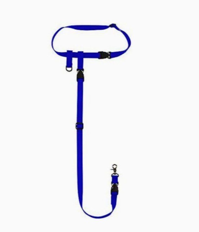 Guinzagli & Collari: Blau Laufleine Hundeleine Jogging Walking Wander – Nuovo (secondo la descrizione) da Kirchdorf AG venduto da Apost008 1