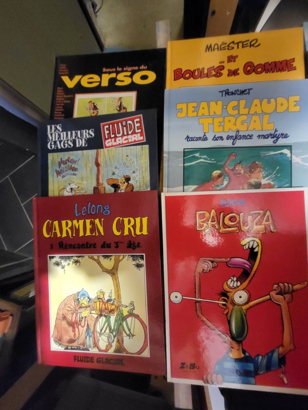 Comics: Lot de 19 bd Fluide Glacial – Gebraucht aus Lausanne von riwink 4