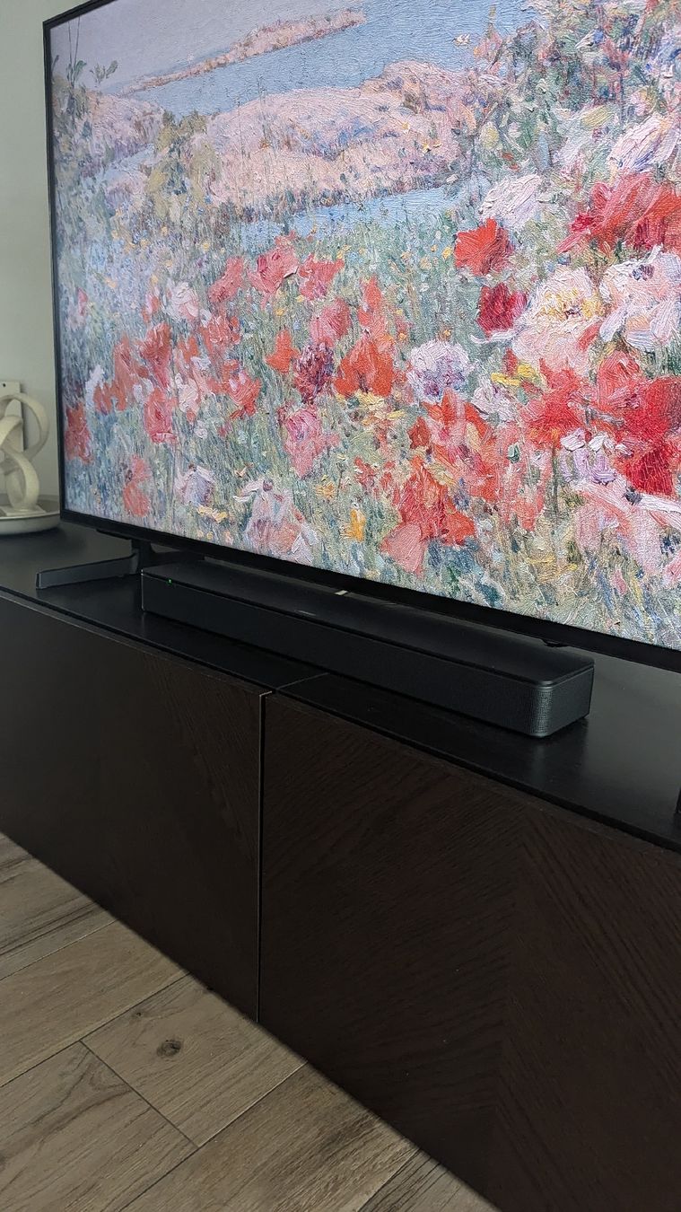 Bose Haut-parleurs: Bose TV Speaker – D'occasion à St.Gallen par reLapseOne