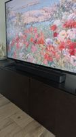 Bose TV Speaker