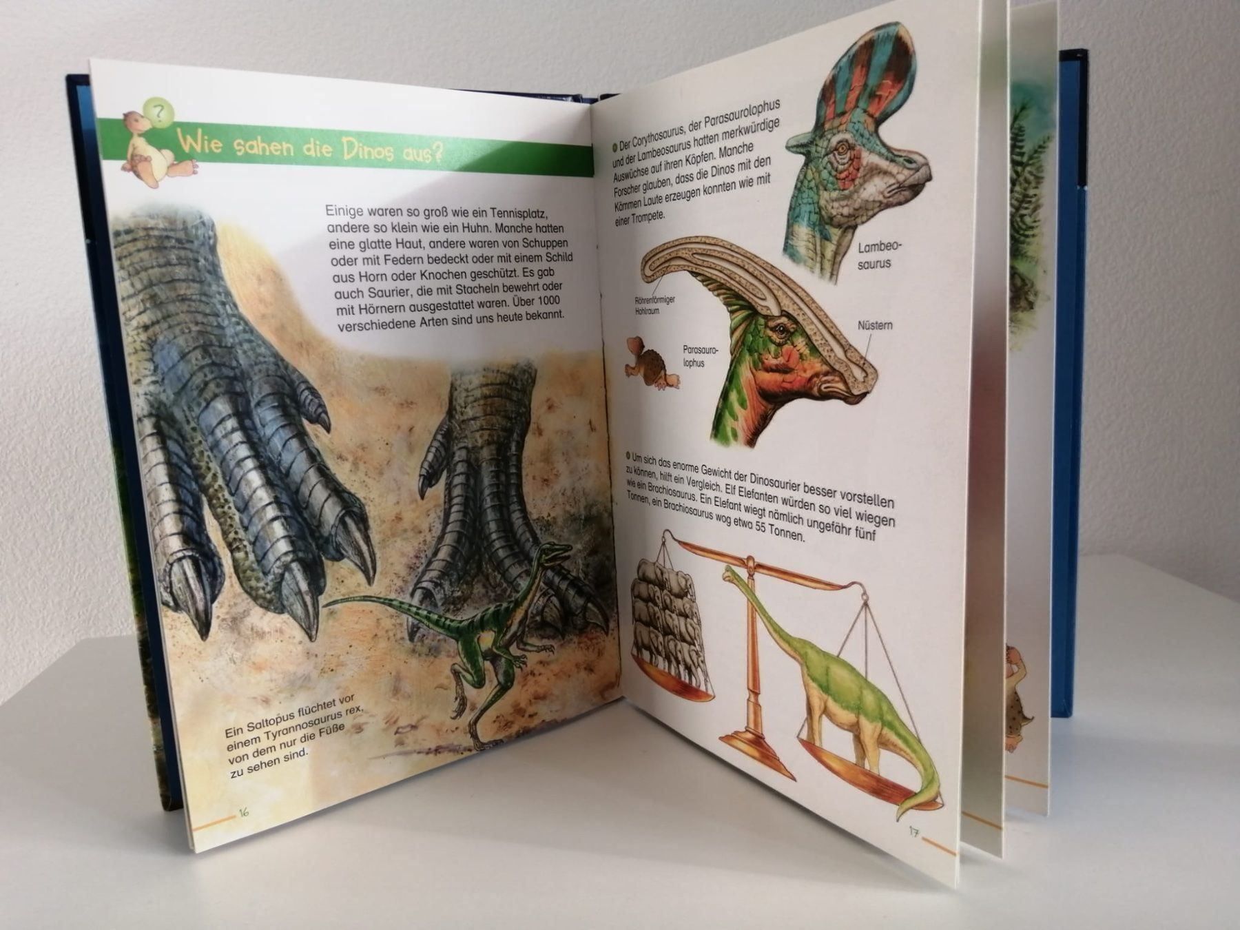 Libri: Kinderbuch Dinosaurier – Usato da Zürich venduto da kitsune 2