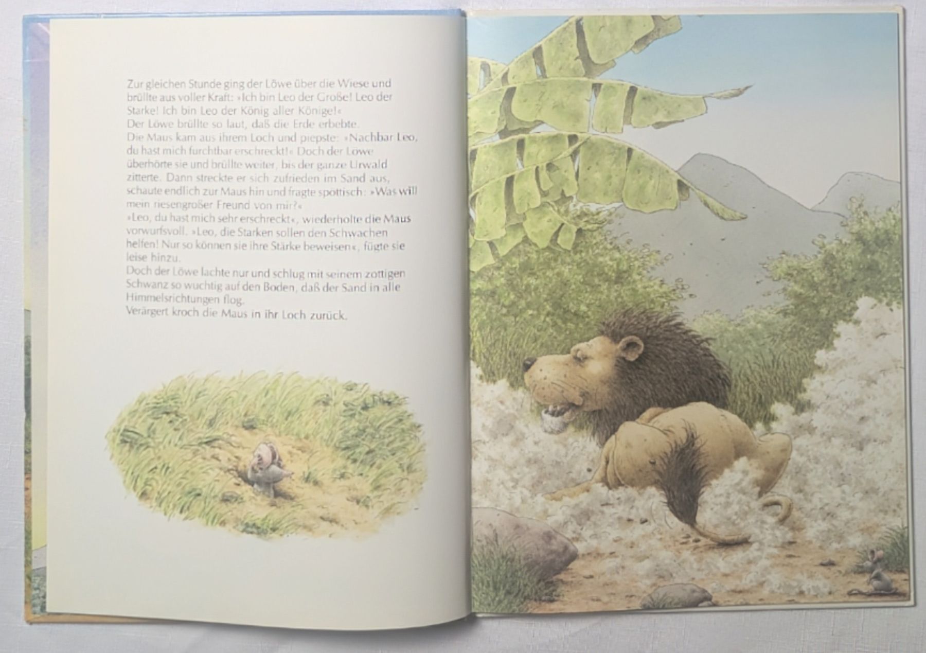 Libri: Das Eichhorn und das Nashörnchen Mischa Damjan Hans de Beer – Nuovo (secondo la descrizione) da Wängi venduto da ABIZONE-86 2