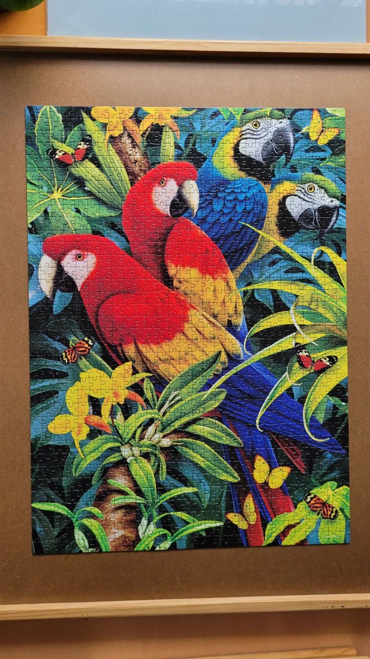 Clementoni Puzzle: Puzzle 1000 Teile – Usato da Gossau SG venduto da Urscmitt