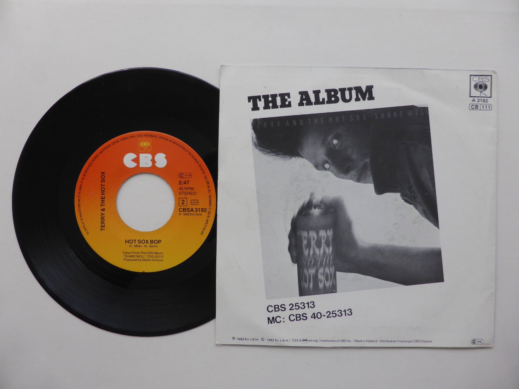Dischi in vinile: VINYL SINGLE  TERRY and THE HOT SOX – Usato da Küssnacht am Rigi venduto da Mondkinder 1