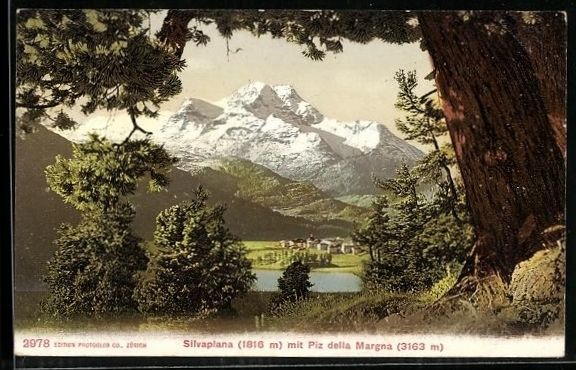 Cartoline postali: Silvaplana, Totalansicht mit Piz della M – Usato da Berlin venduto da bartko-reher