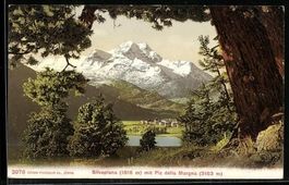 Silvaplana, Totalansicht mit Piz della M