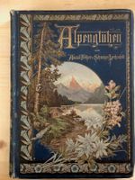 Amand Freiherr von Schweiger-Lerchenfeld: Alpenglühen.