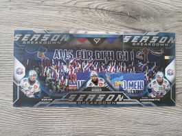 Eishockey Sammelkarte ZSC Lions Season Breakdown