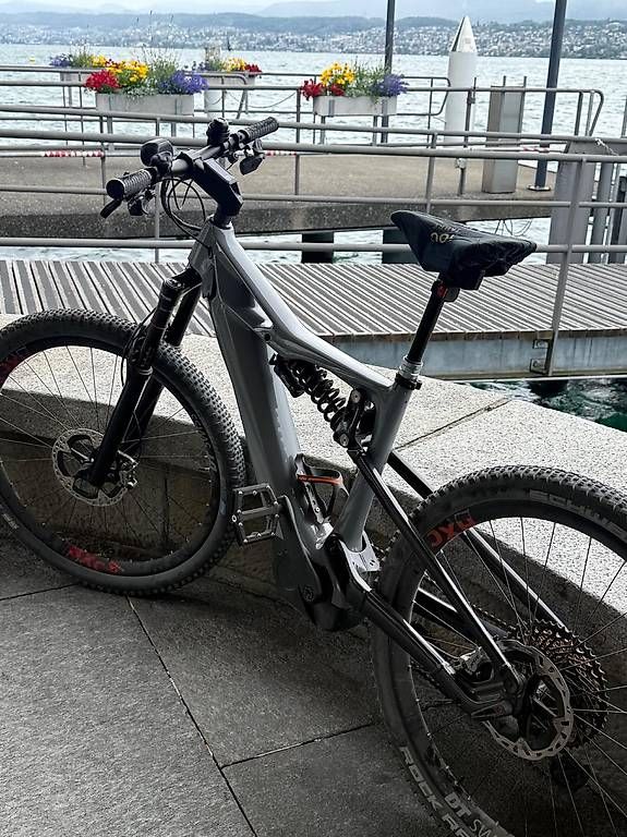 Biciclette: Elektro Velo Limited Edition – Usato da Horgen venduto da gia_7xxj 1