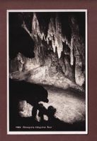 BAAR - Bärengrotte Höllgrotten
