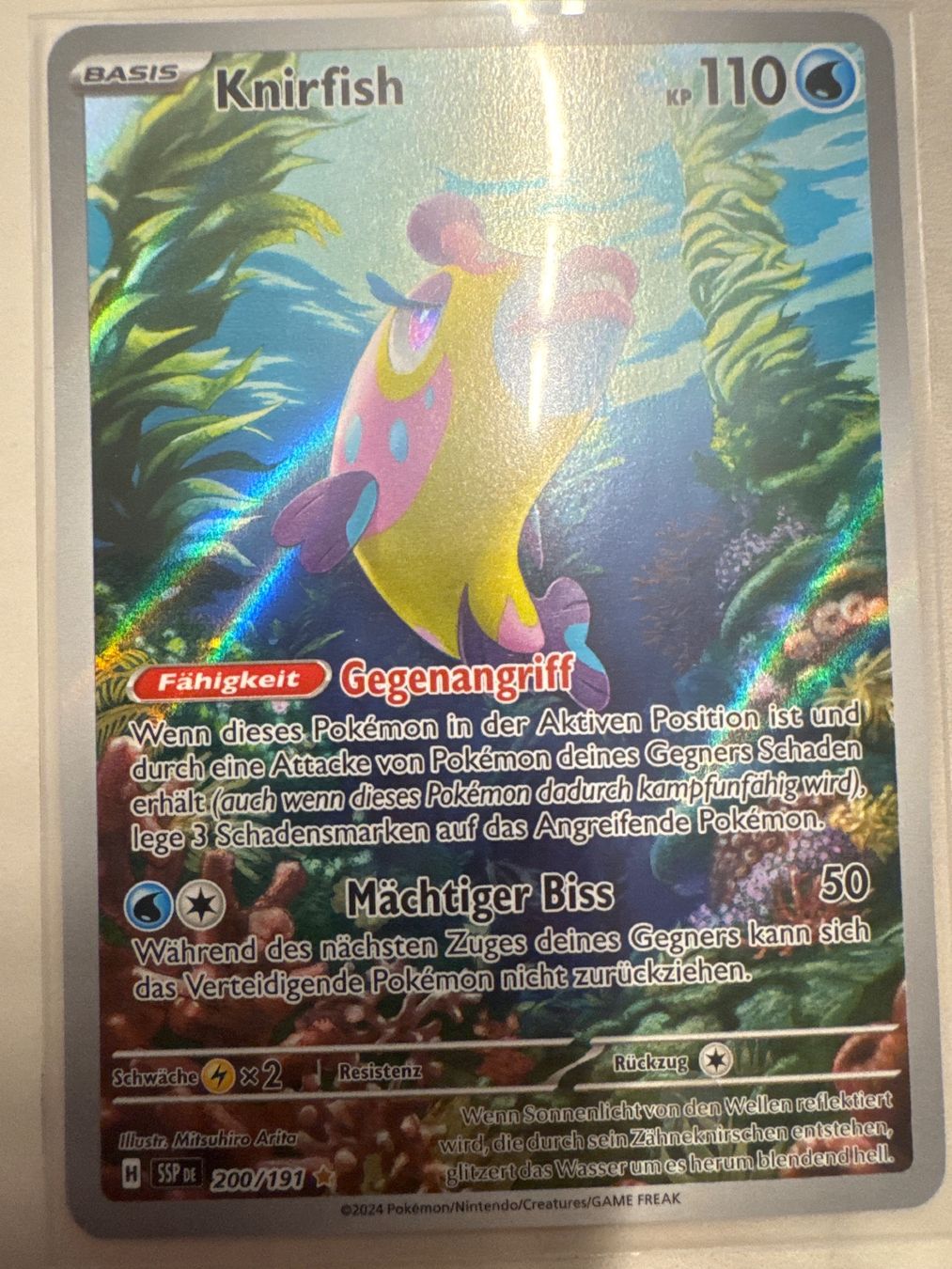 Pokémon Carte collezionabili: Knirfish SSP200 DE - Surging Sparks – Nuovo (secondo la descrizione) da Wil SG venduto da Prof.Eich