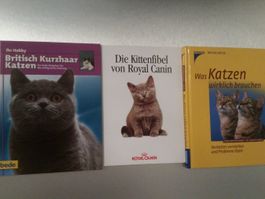 Katzenbücher alle 3 für