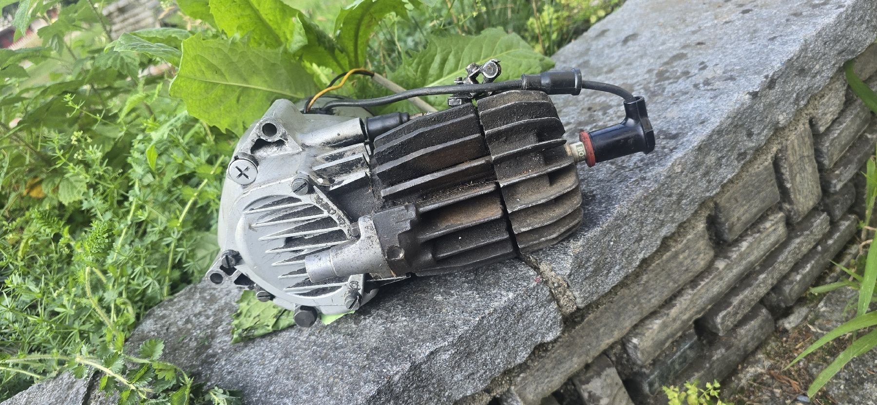 Cyclomoteurs: Sachs Motor  – D'occasion à Ibach par Speedrace 1