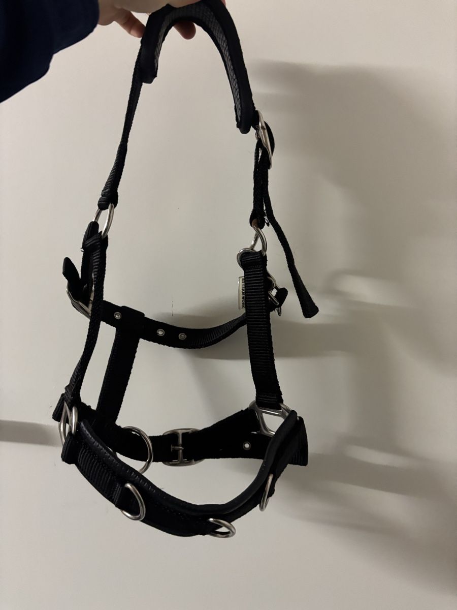 Briglie & Cavezze: Showmaster Pony Longierhalfter – Usato da Möriken AG venduto da Jamas76 1