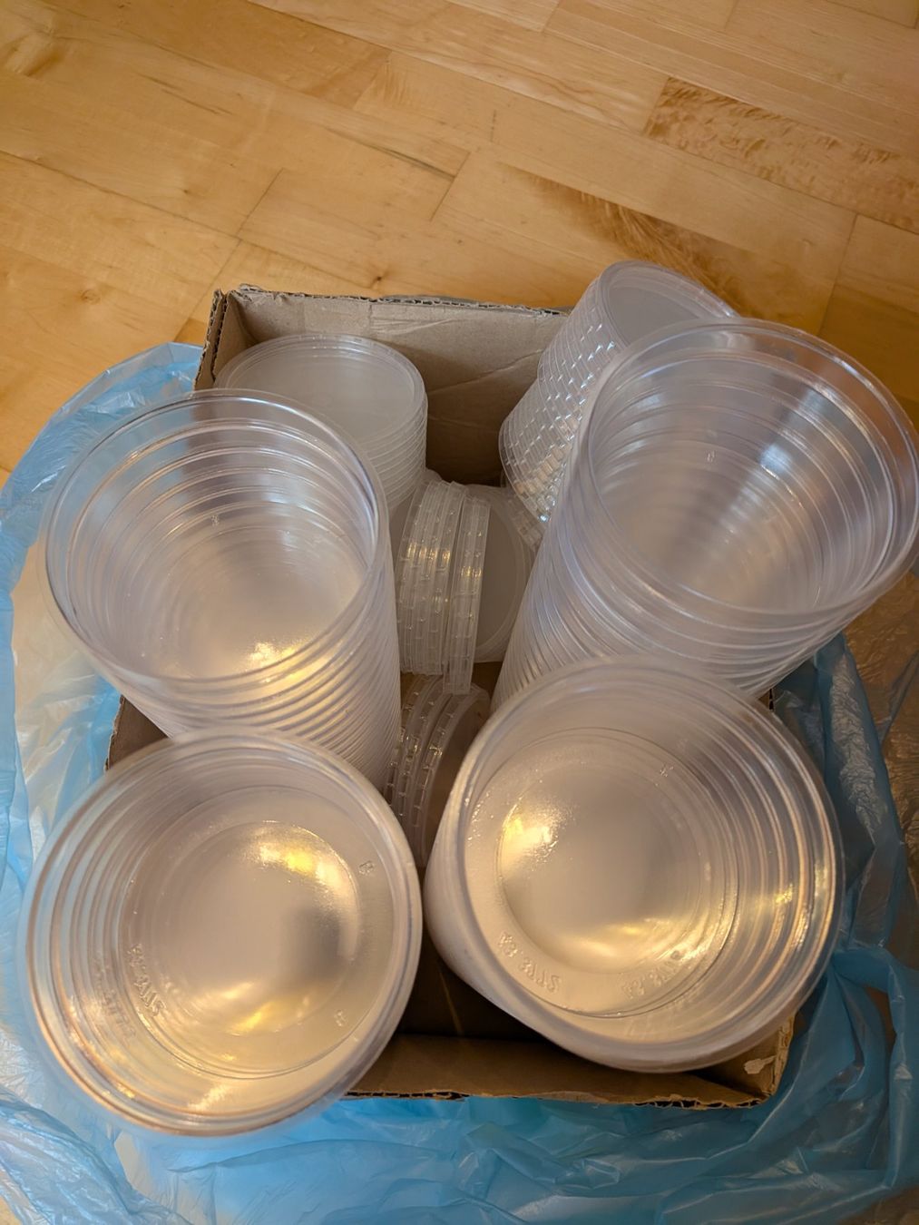 Contenitori & Simili: Plastik Behälter (Restposten) – Nuovo (secondo la descrizione) da Bonstetten venduto da steve3300 4